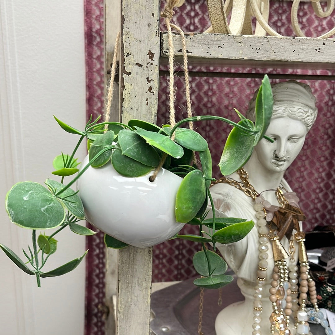 Sm Hanging Plant