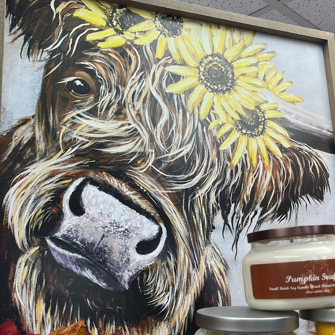 Cow Sunflower Picture